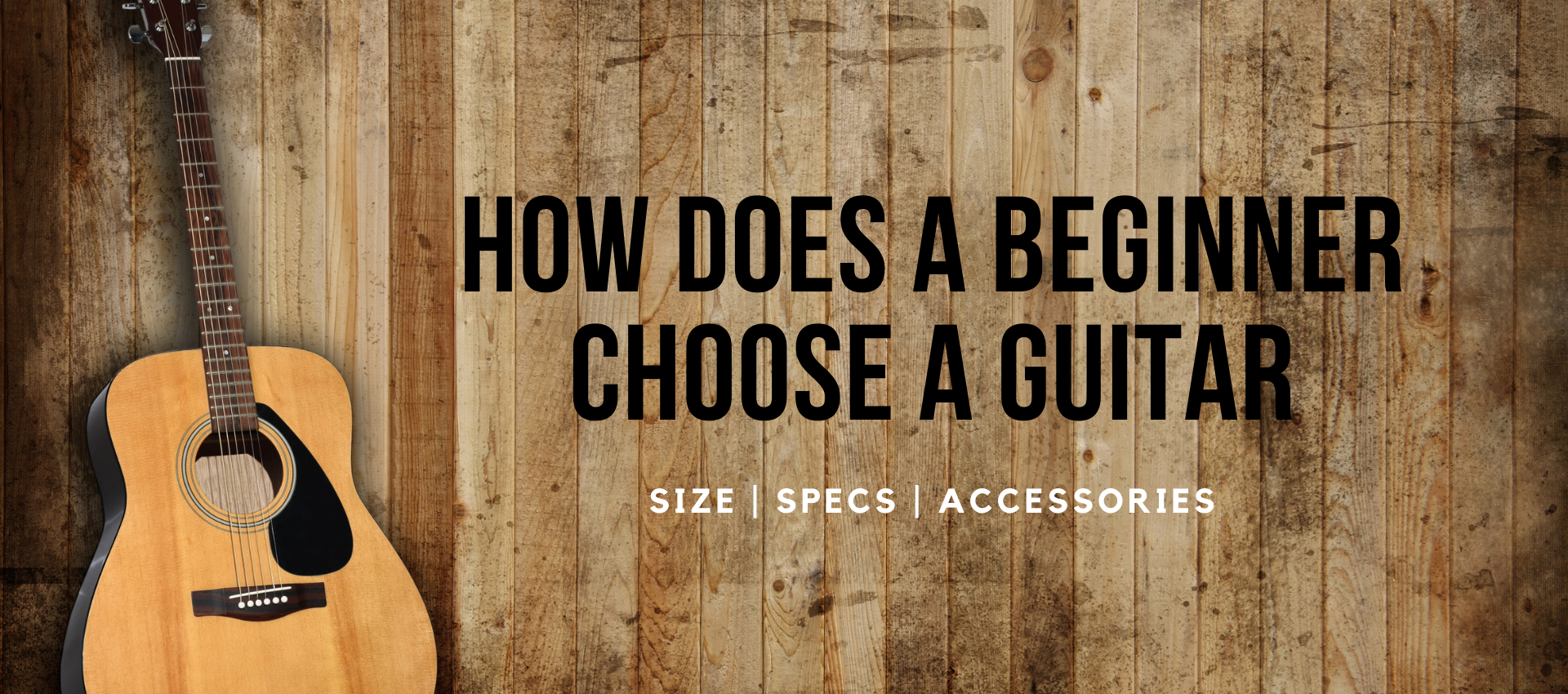 beginner guitar india