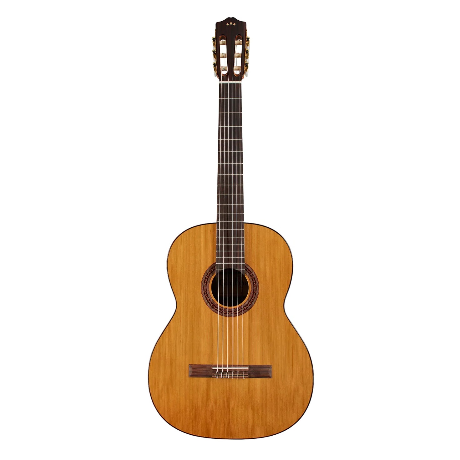 Cordoba C5 Nylon String Acoustic Guitar Cedar online in India at johnsmusicin at the lowest price