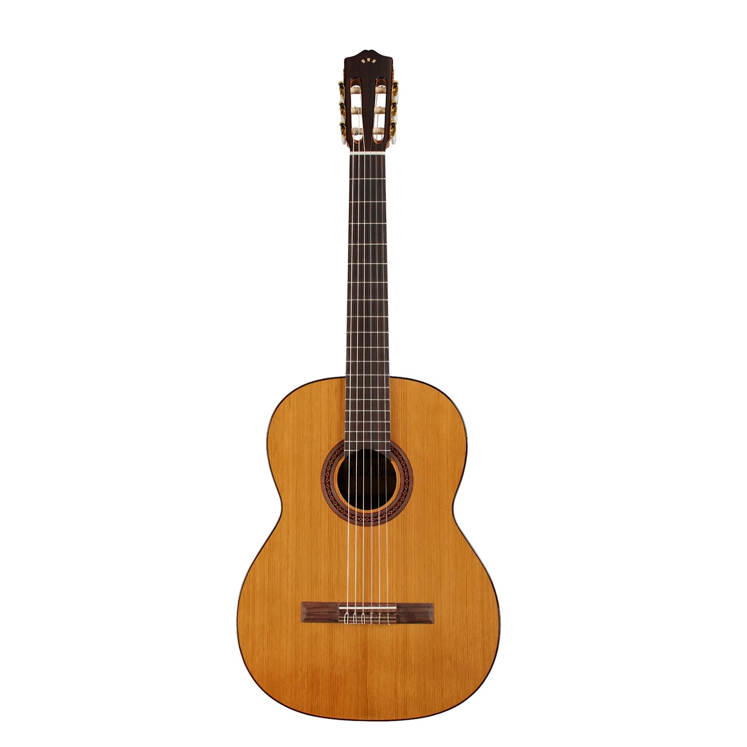 Cordoba C5 CD 6 String Classical Electro Acoustic Guitar online in India at johnsmusicin at the lowest price Online price in India