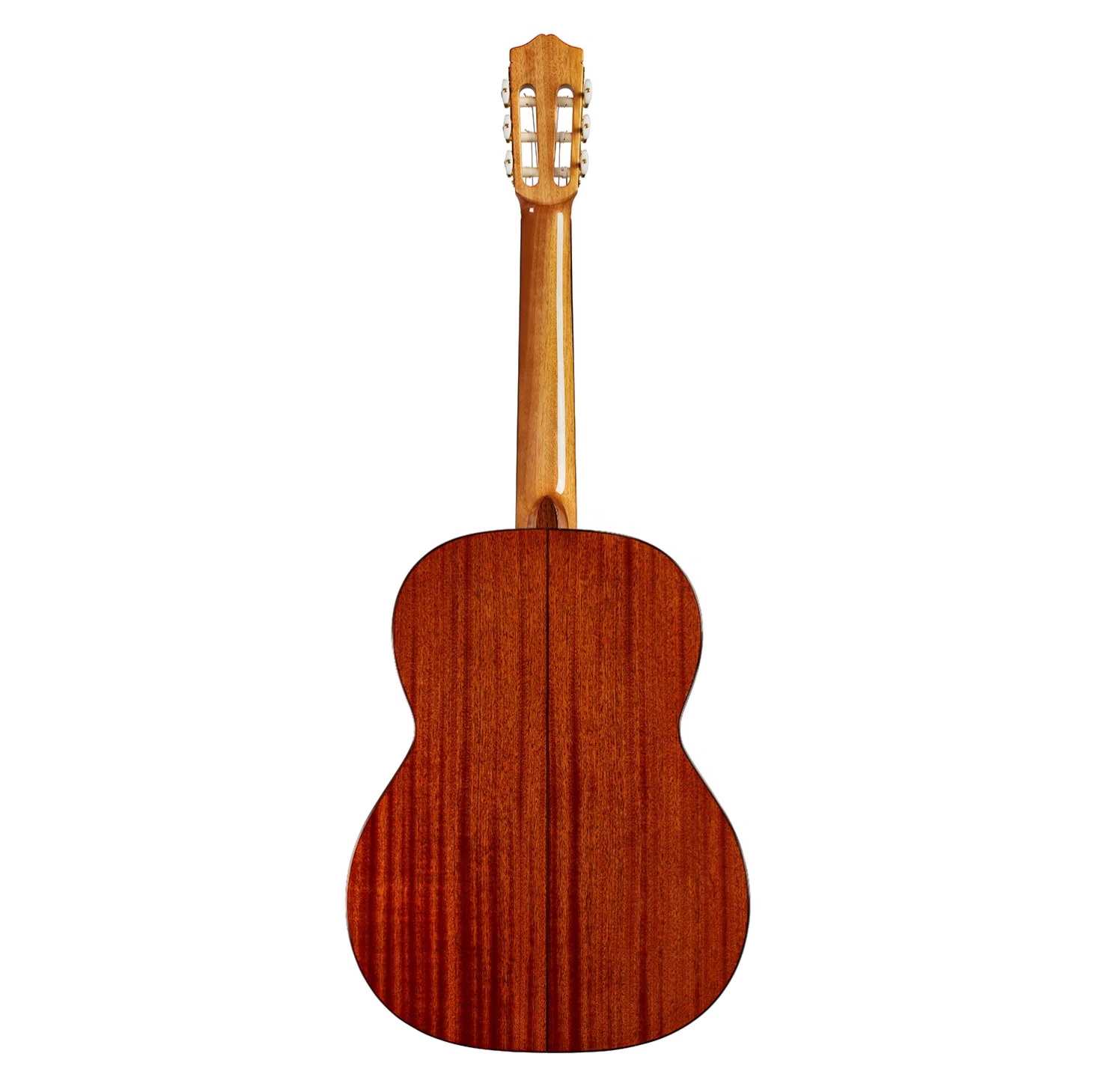 Cordoba C5 Nylon String Acoustic Guitar Cedar online in India at johnsmusicin at the lowest price