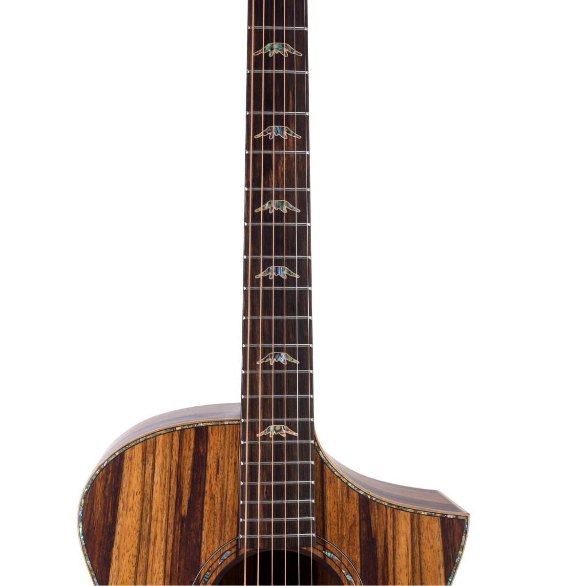 Bromo BAR4Gce Rockys Auditorium CWY Electro Acoustic Guitar online in India at johnsmusicin at the lowest price Online price in India