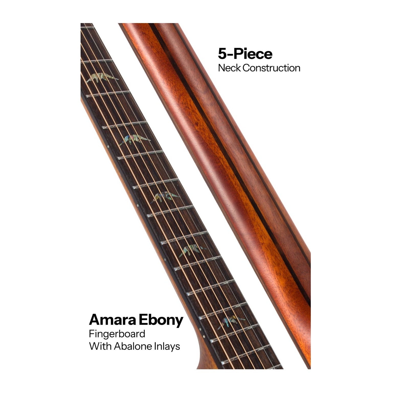 Bromo BAT4MC Tahoma Hillside Auditorium Cutaway All Mahogany online in India at johnsmusicin at the lowest price Online price in India