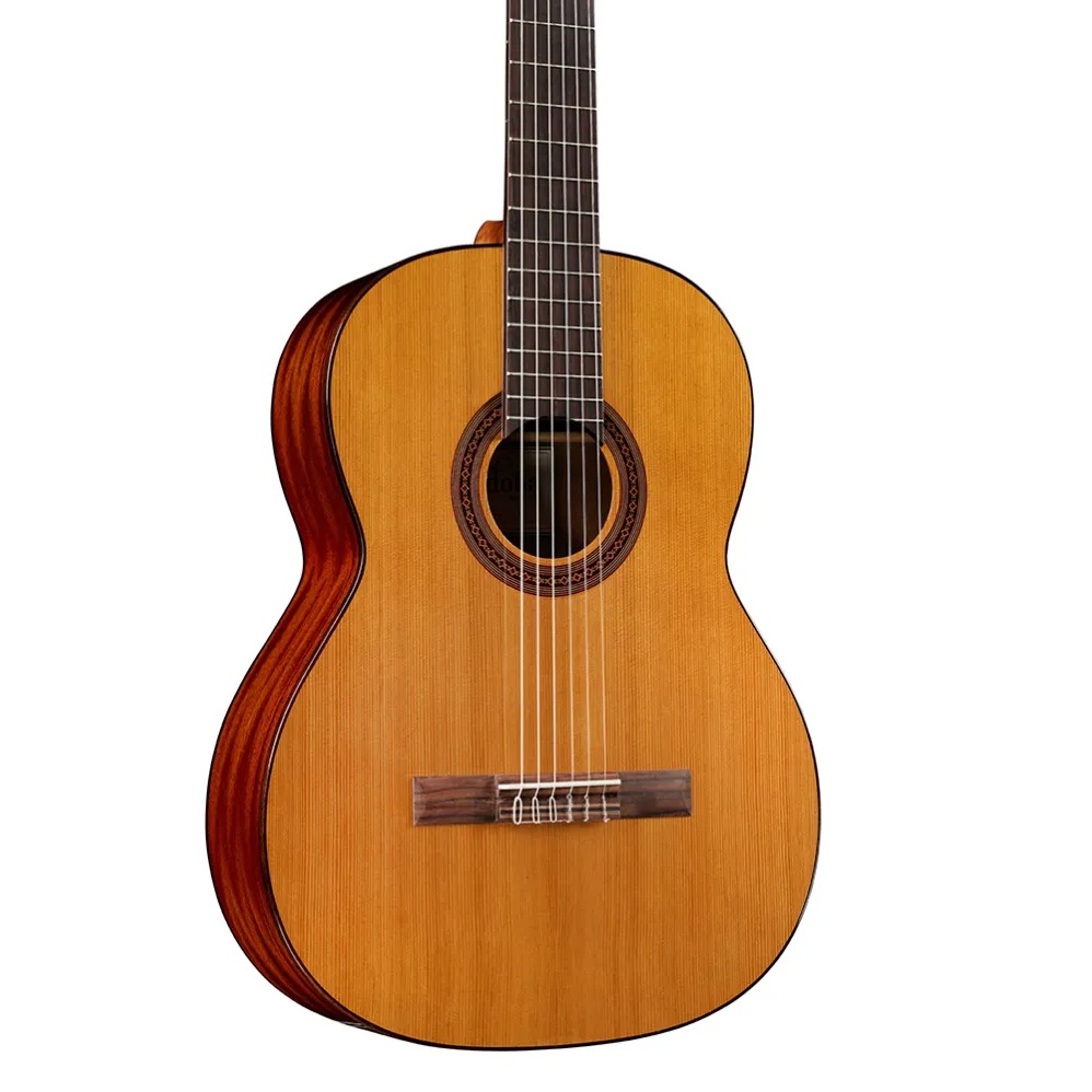 Cordoba C5 Nylon String Acoustic Guitar Cedar online in India at johnsmusicin at the lowest price