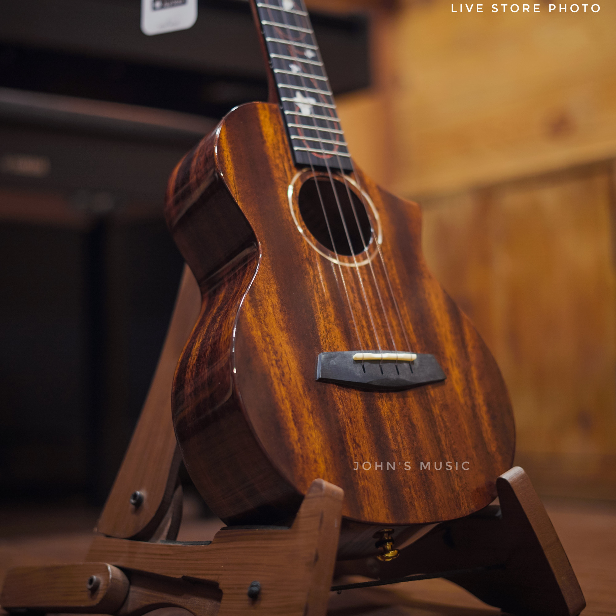 Enya EUC-M6 Solid Mahogany Concert Ukulele