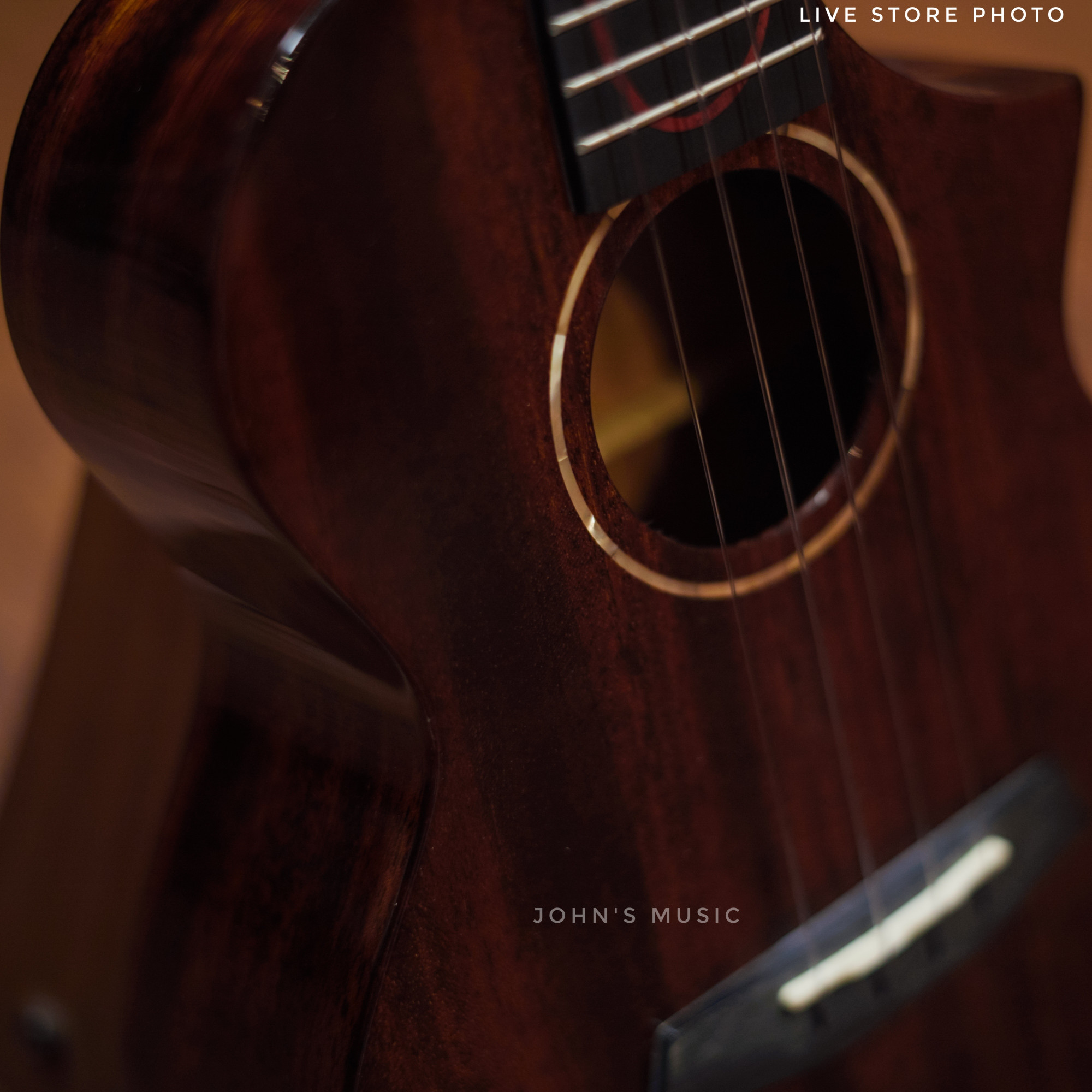 Enya EUC-M6 Solid Mahogany Concert Ukulele