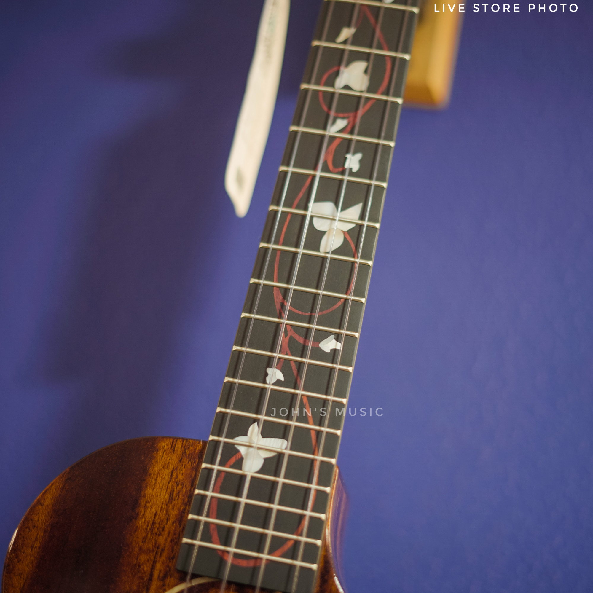 Enya Solid Mahogany Concert Ukulele