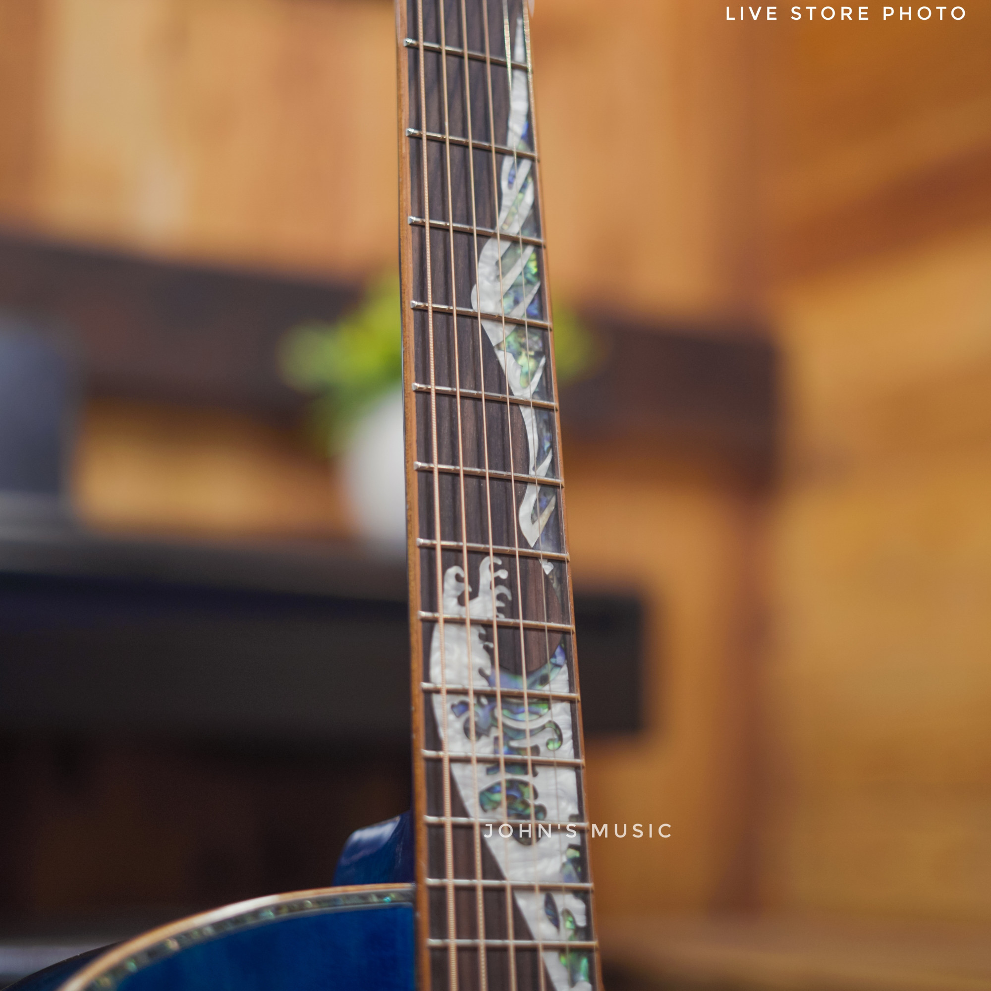 Strydom Stage S140C OCEAN GA shape online in India at johnsmusicin at the lowest price Online price in India