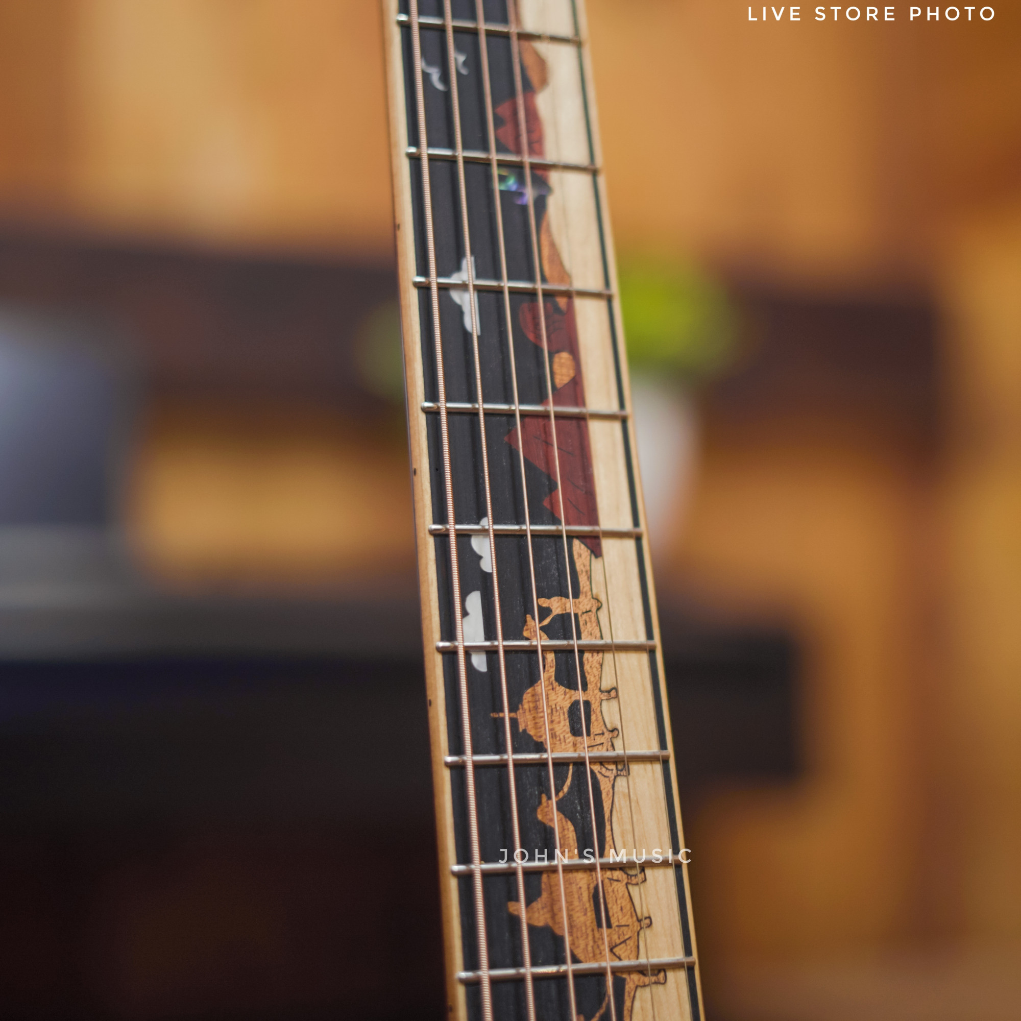 Strydom Dune SGA241C Solid Top Acoustic Guitar Sunset online in India at johnsmusicin at the lowest price Strydom Dune SGA241C Solid Top Acoustic Guitar Sunset Online price in India