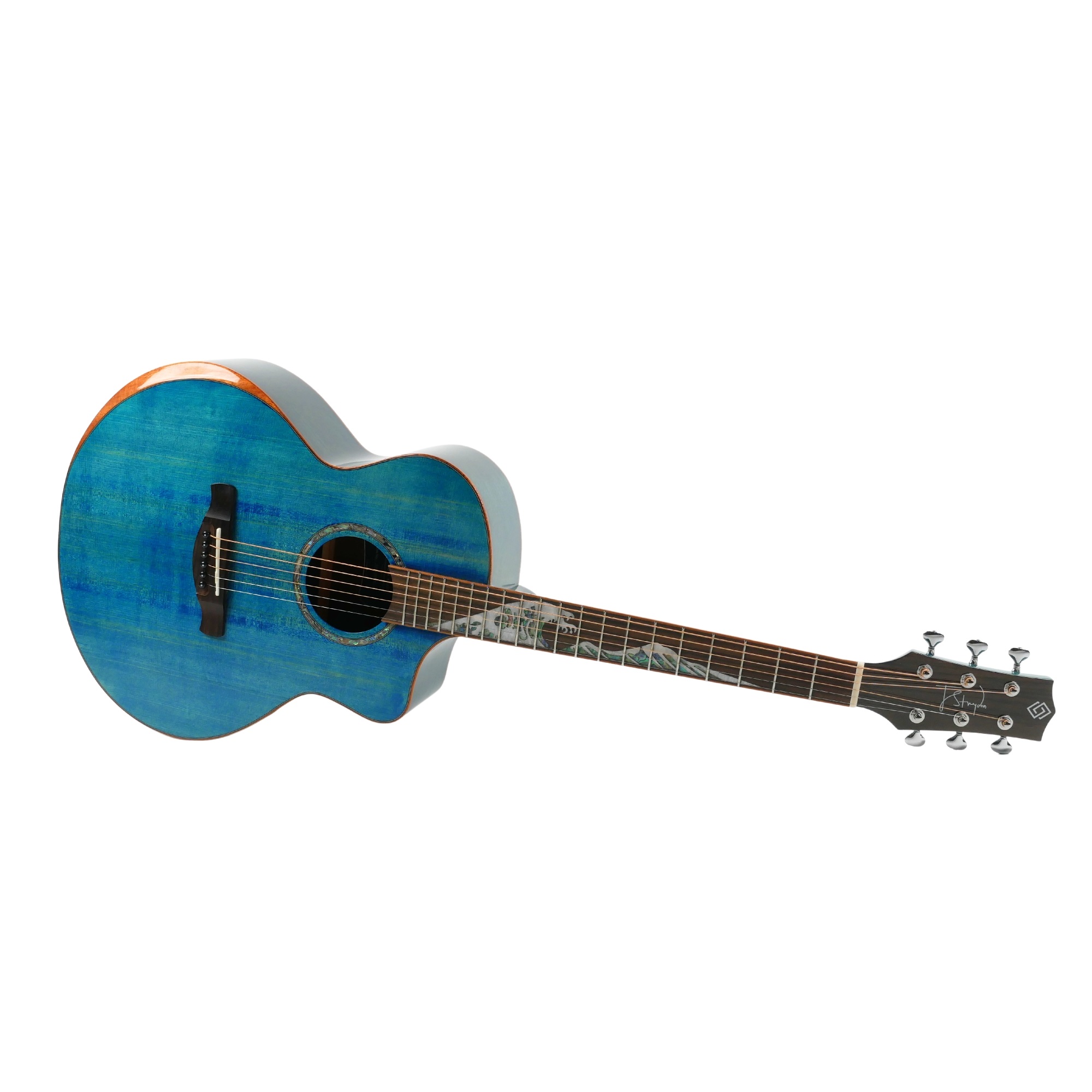 Strydom Stage S140C OCEAN GA shape online in India at johnsmusicin at the lowest price Online price in India