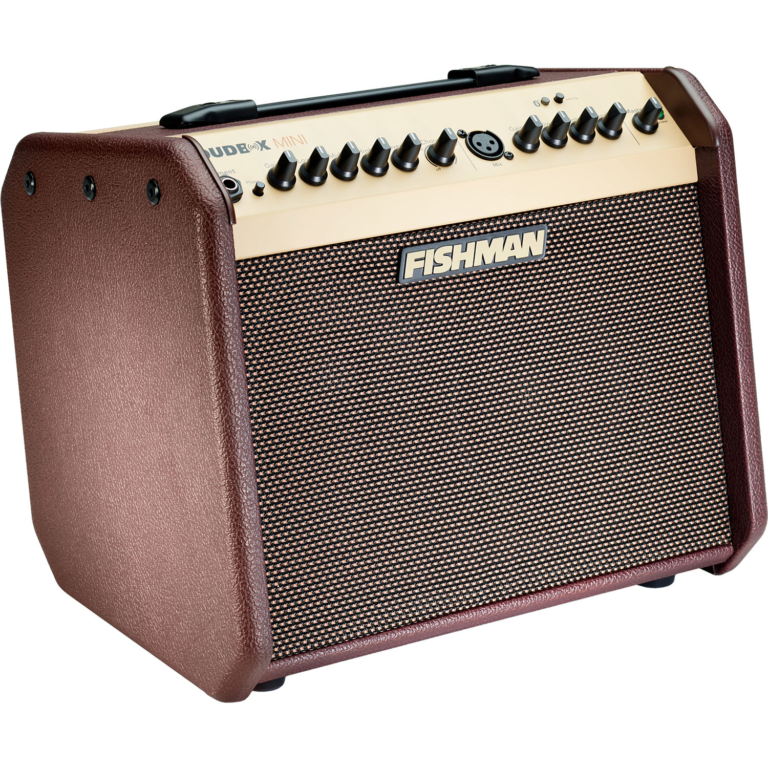 Fishman Loudbox Mini Bluetooth 60W Acoustic Combo Amplifier Online price in India