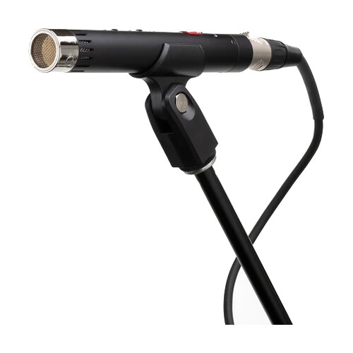 Lauten Audio LA120 V2 Series Black Pair Condenser Microphone - Stereo Pair