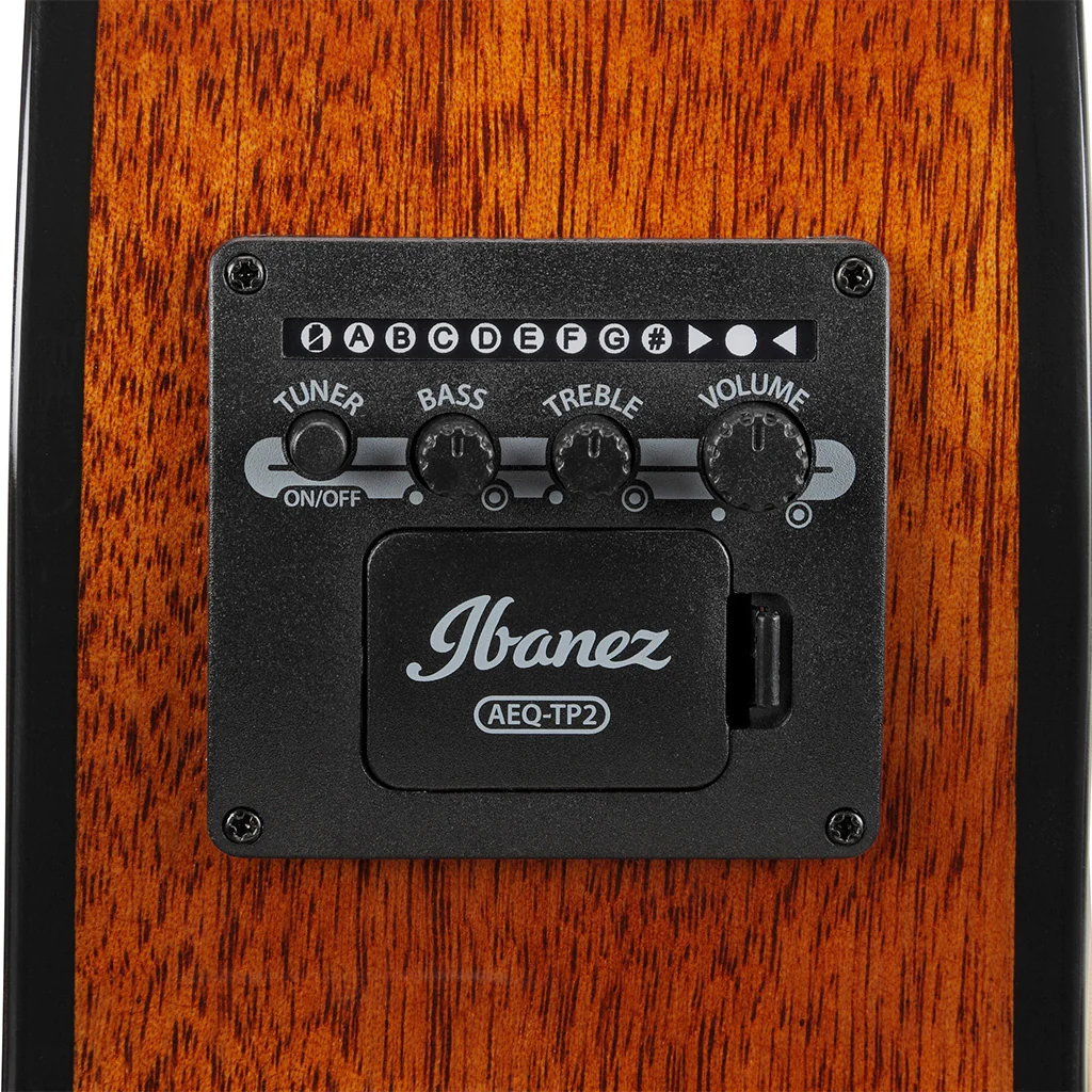 Ibanez AEG51 TRH AEG Series Electro Acoustic Guitar online in India at johnsmusicin at the lowest price Online price in India