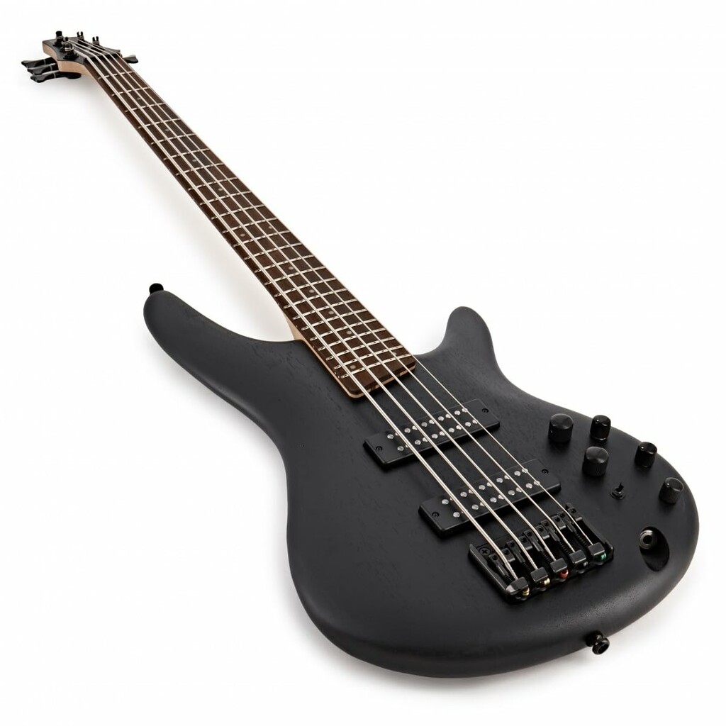 Ibanez SR305EB WK 5 String Electric Bass Guitar online in India at johnsmusicin at the lowest price Online price in India