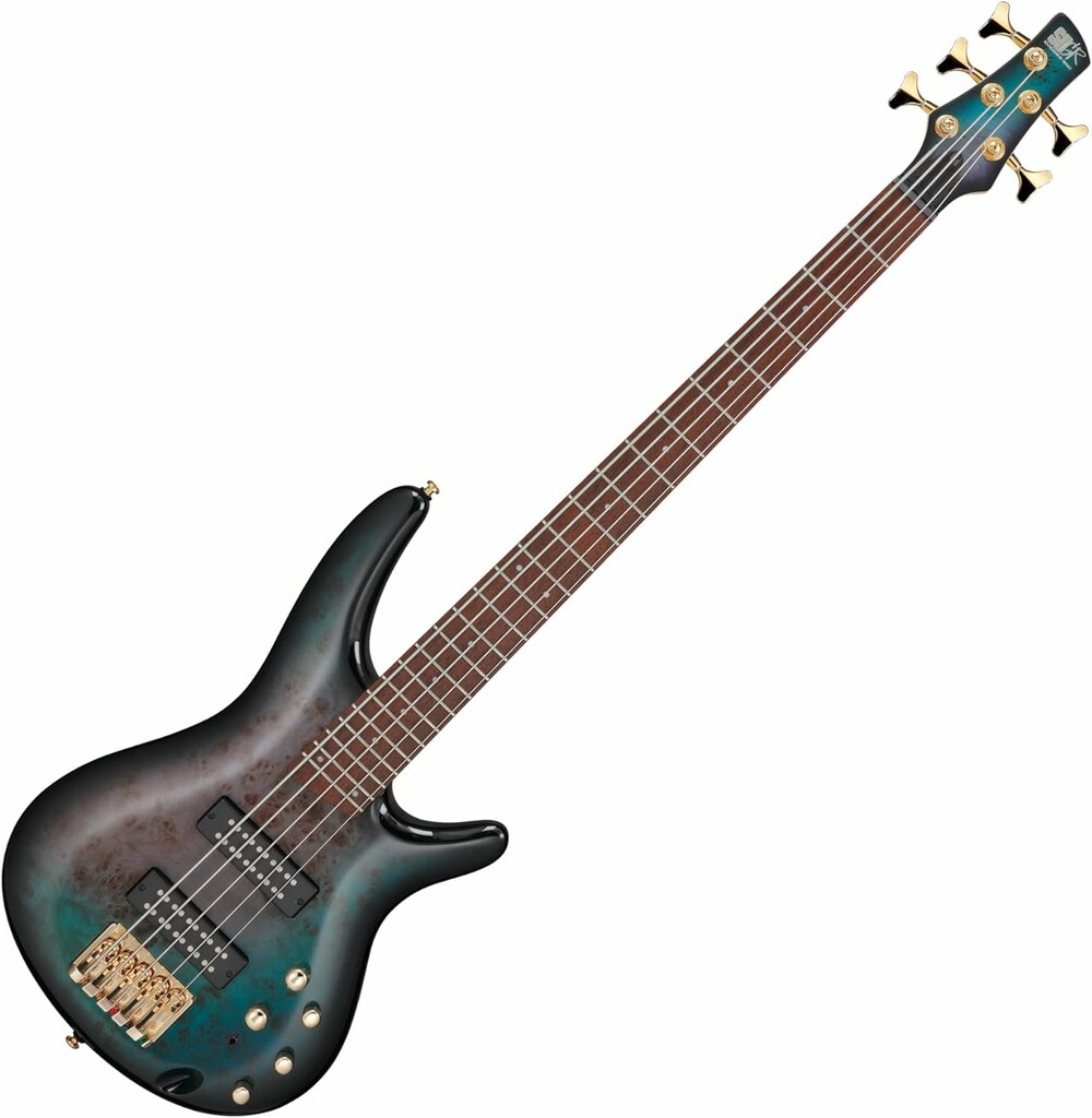 Ibanez SR405EPBDX TSU SR Series 5 String Bass Guitar Tropical Seafloor Burst online in India at johnsmusicin at the lowest price Online price in India
