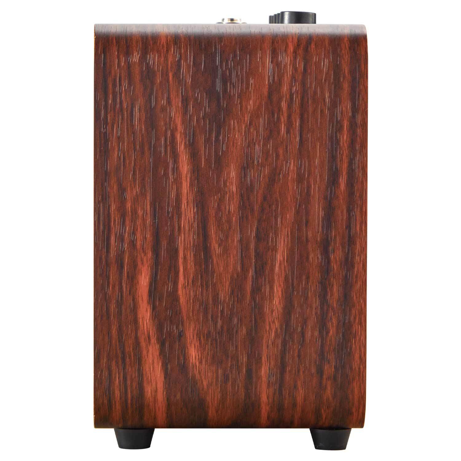 AGA GA-ONE Rechargeable Acoustic Amp Bluetooth