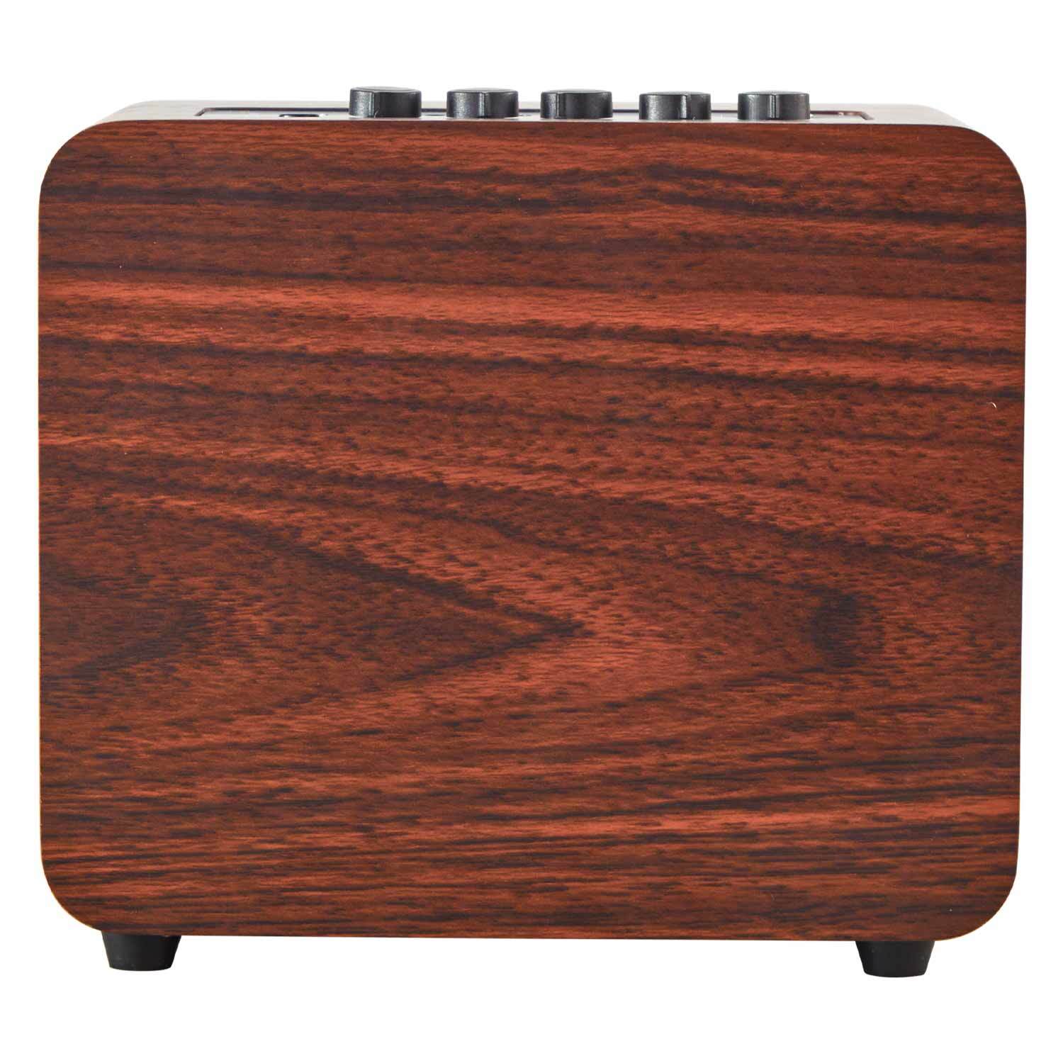 AGA GA-ONE Rechargeable Acoustic Amp Bluetooth