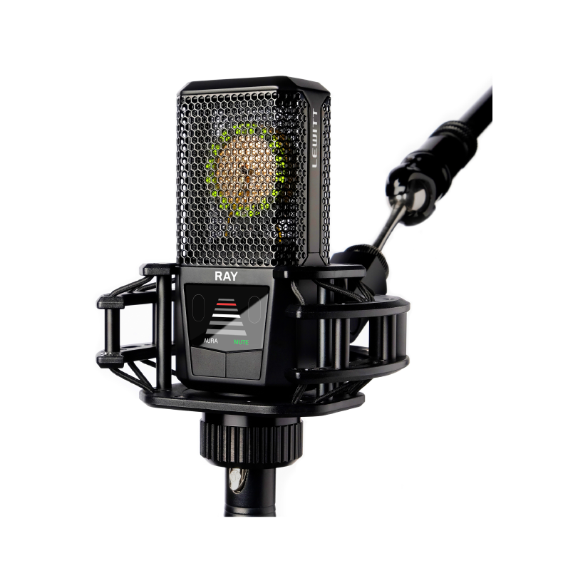 Lewitt Ray Online price in India