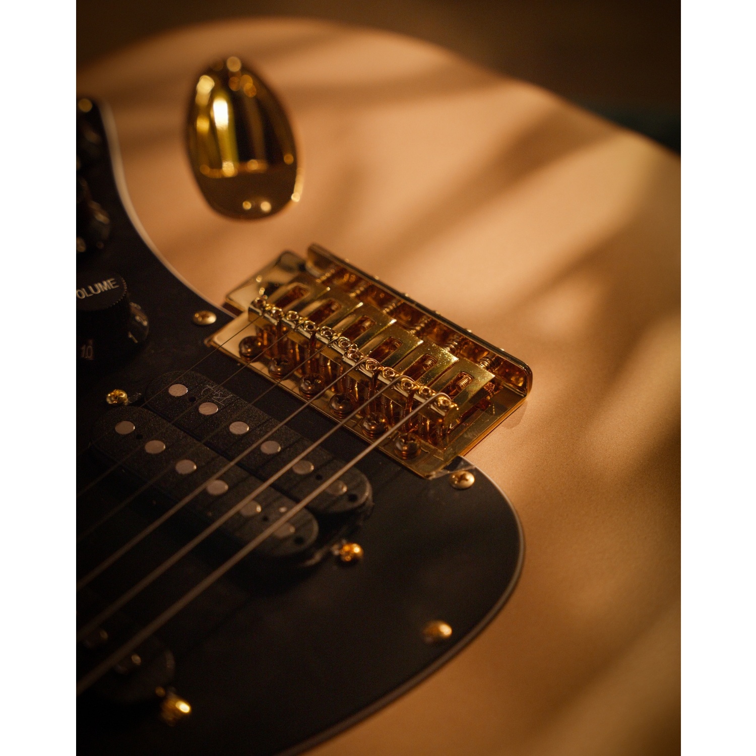 Strydom ST20M Nova Gold Electric Guitar Gold Hardware online in India at johnsmusicin at the lowest price Online price in India