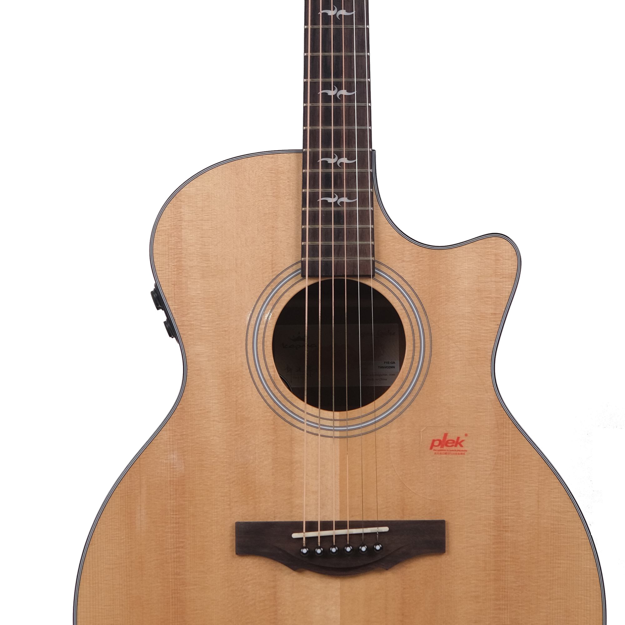 F1E-GA GRAND AUDITORIUM with Heavy Padded Bag Shop online in India JohnsMusicin