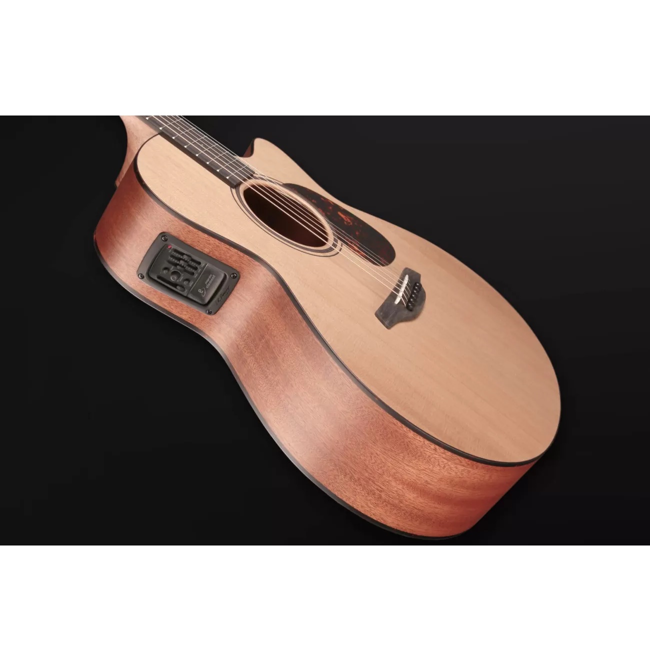 Furch Blue Gc-CM a SPE Masters Choice Electro Acoustic Guitar online in India at johnsmusicin at the lowest price Online price in India
