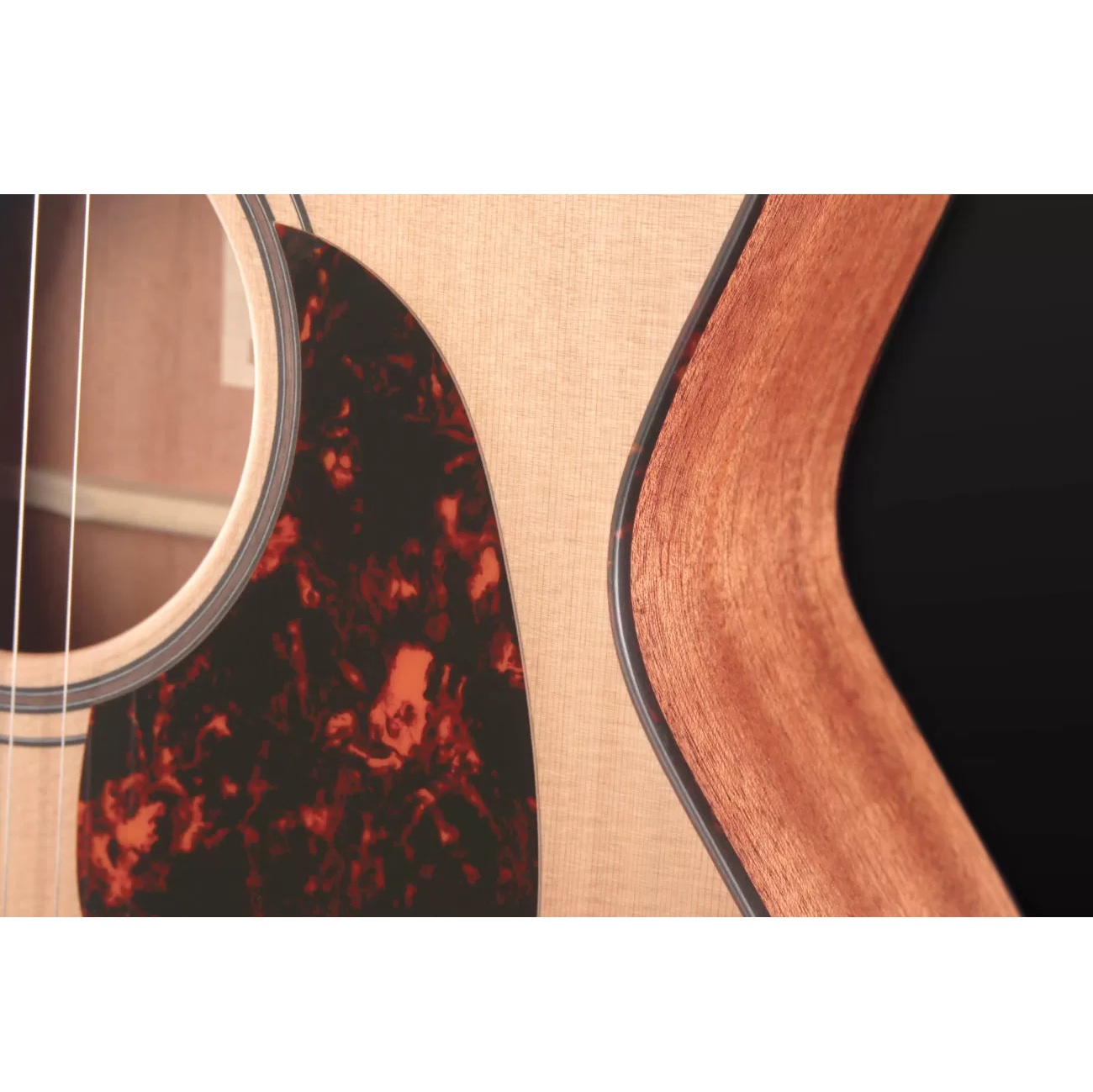 Furch Blue Gc-CM a SPE Masters Choice Electro Acoustic Guitar online in India at johnsmusicin at the lowest price Online price in India