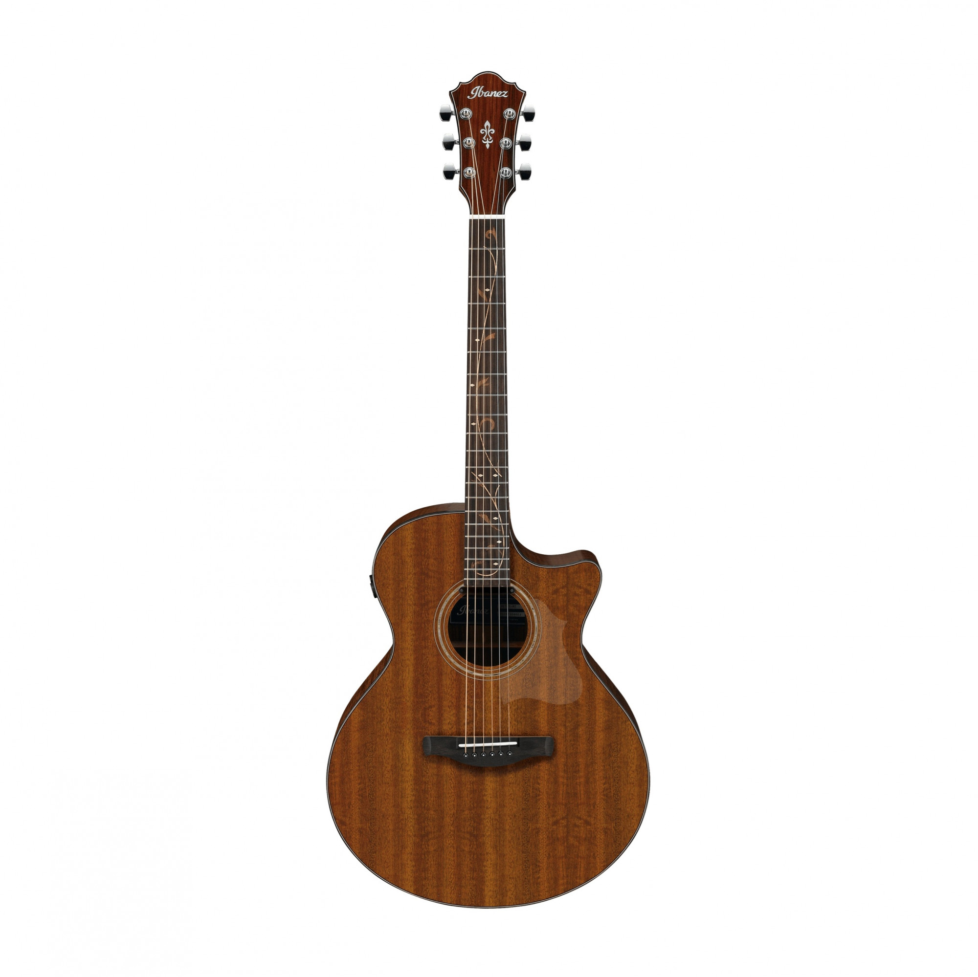 Ibanez AE295 AE Series Electro Acoustic Guitar online in India at johnsmusicin at the lowest price Online price in India