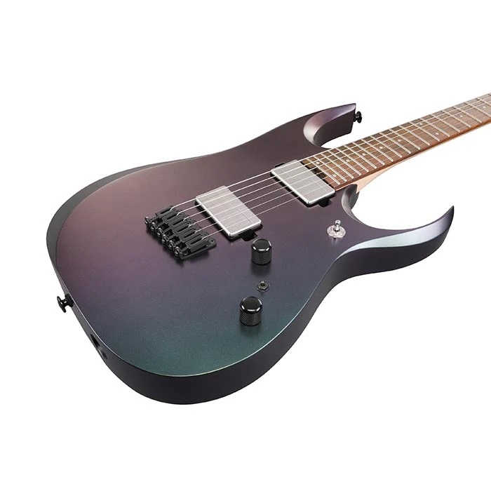Ibanez RGD3121 6 String Electric Guitar with Case online in India at johnsmusicin at the lowest price Online price in India