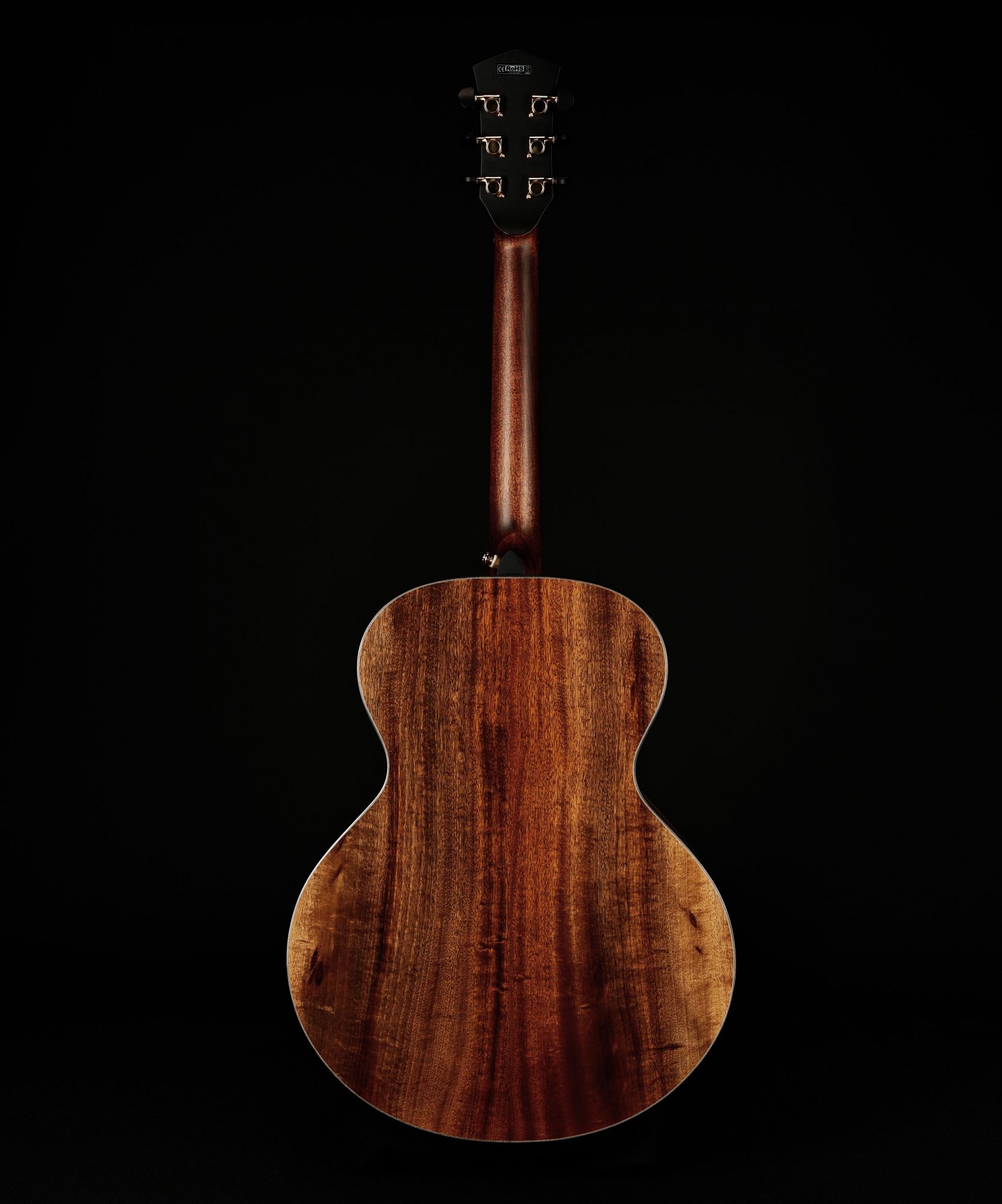 Cort Cut Craft Electro Acoustic Guitar Natural Glossy Online price in India