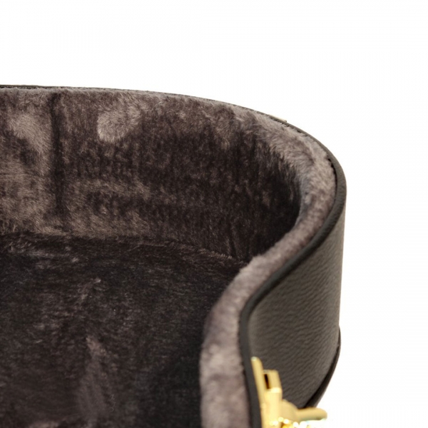 Armour APWCC Acoustic Guitar Case Online price in India