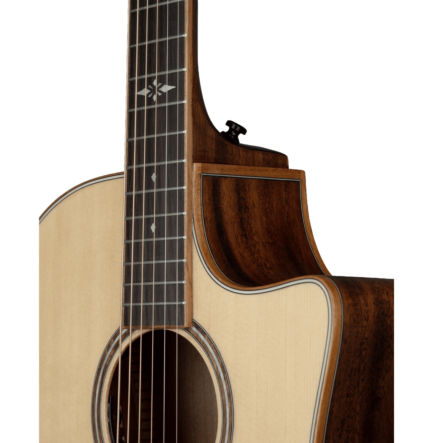 Hex Vespera VG500E All Solid Semi Acoustic Guitar with LR BAGGS online in India at johnsmusicin at the lowest price Online price in India