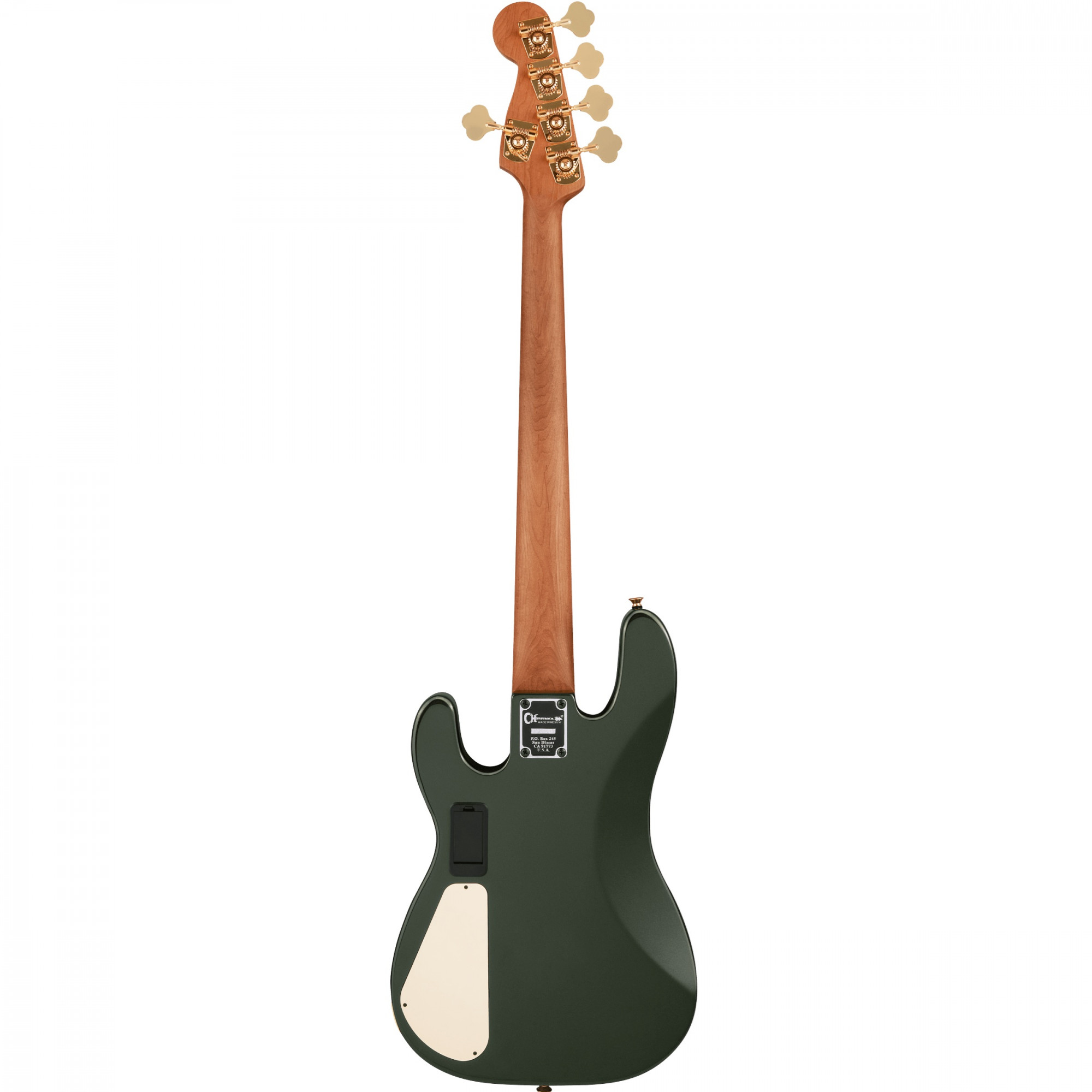 Charvel Pro Mod San Dimas JJ V 5 String Bass Guitar online in India at johnsmusicin at the lowest price Online price in India