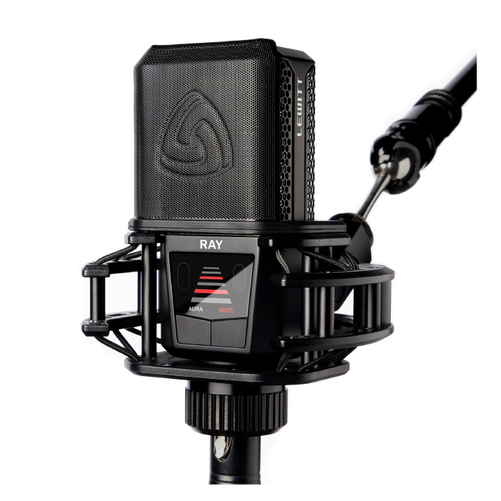 Lewitt Ray Online price in India