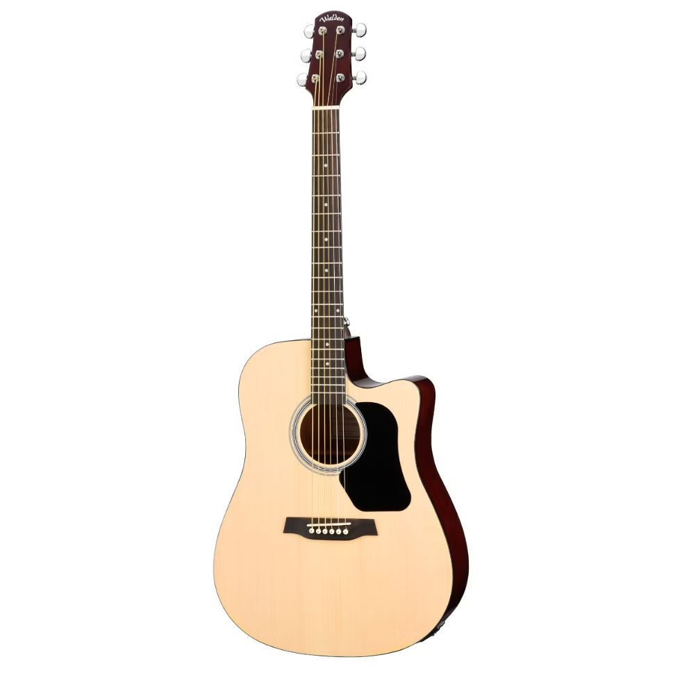 Walden D350CE Dreadnought Acoustic Guitar Online price in India