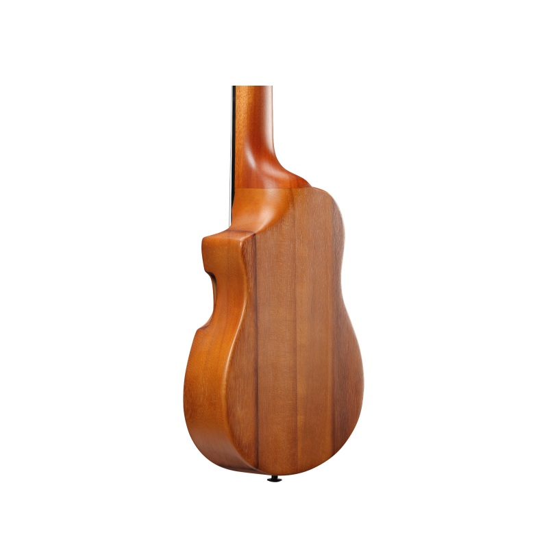 Ibanez AUP10N AU tenor 6 String Acoustic Guitar online in India at johnsmusicin at the lowest price Online price in India