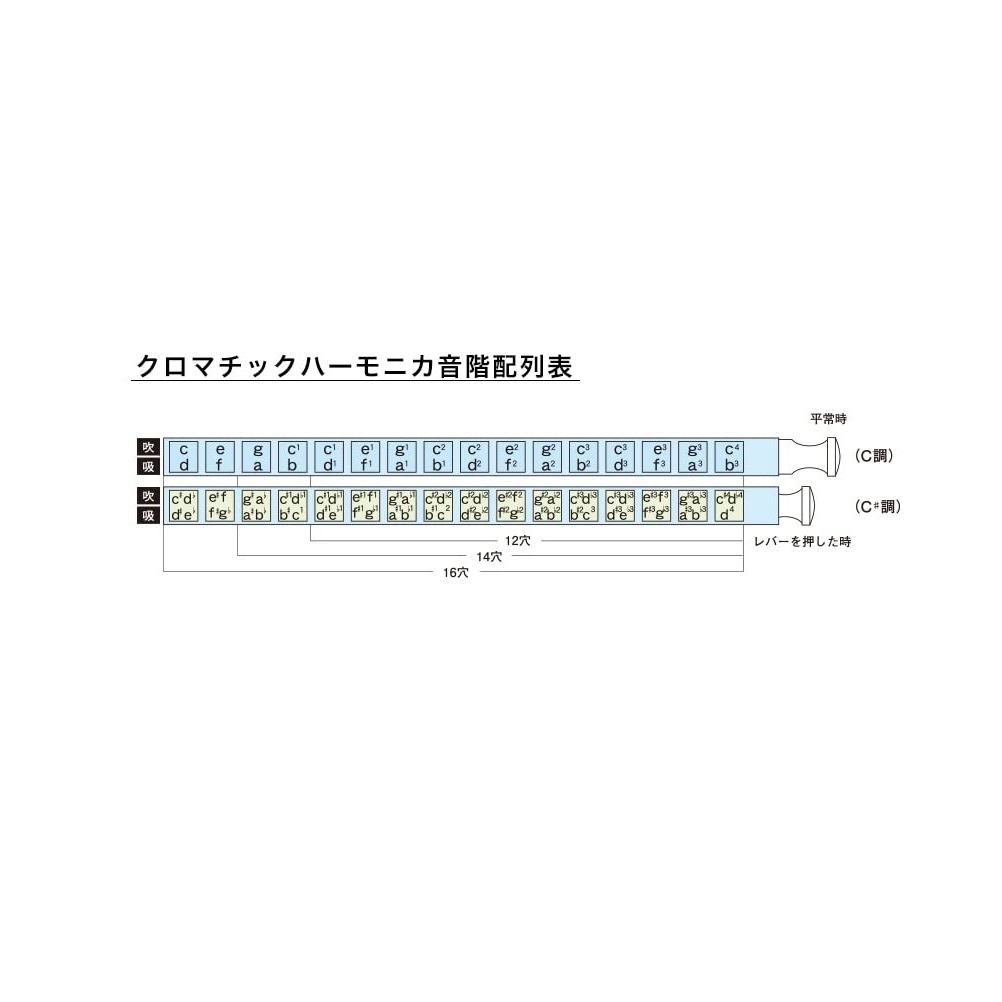 Suzuki SCX-48 Chromatix Series Deluxe 12-Holes C Key Diatonic Harmonica Online price in India