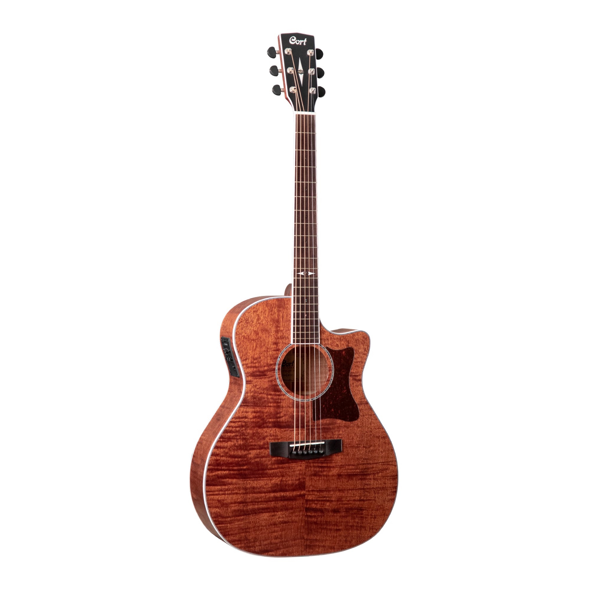 Cort GA5F FMH OP Semi Acoustic Guitar Online price in India