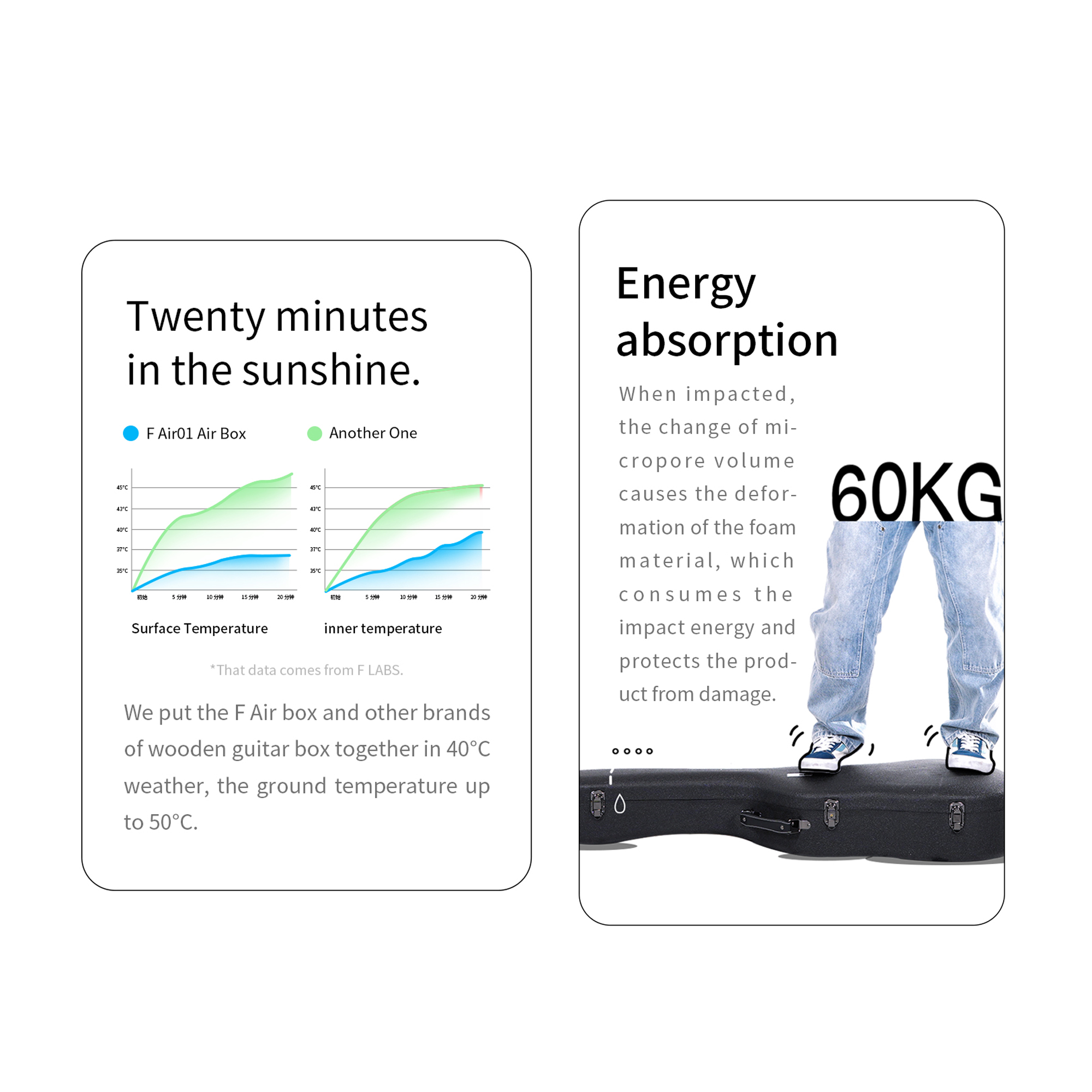 Double AIR bag Hardcase for 40inch and 41inch guitars