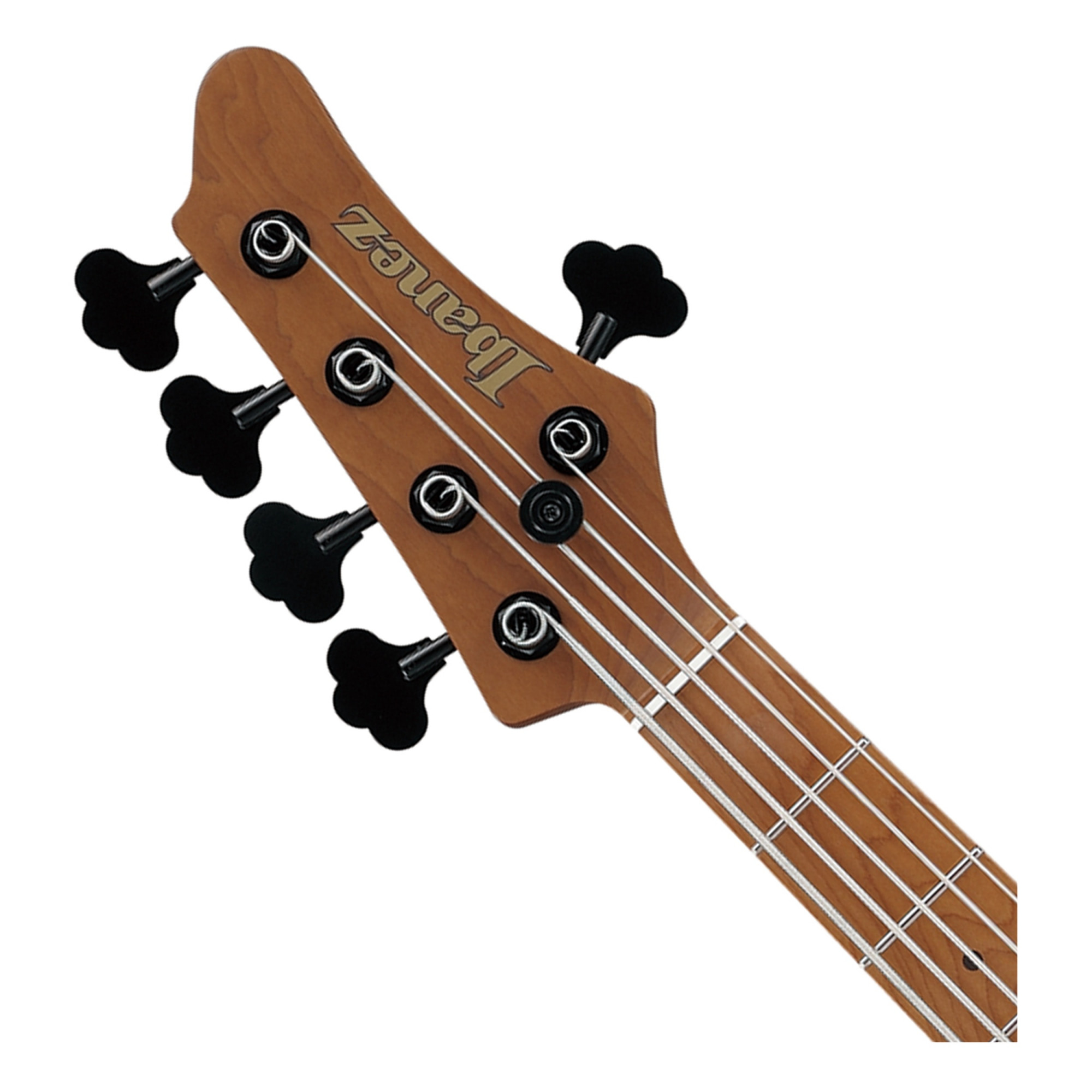 Ibanez Mode MDM1305 5 string Electric Bass Guitar Natural Stained Amber Burst online in India at johnsmusicin at the lowest price
