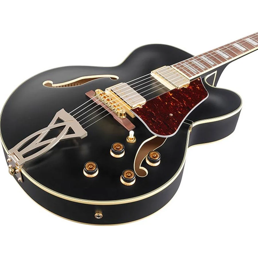 Ibanez AF75G BKF Hollowbody Electric Guitar online in India at johnsmusicin at the lowest price Online price in India