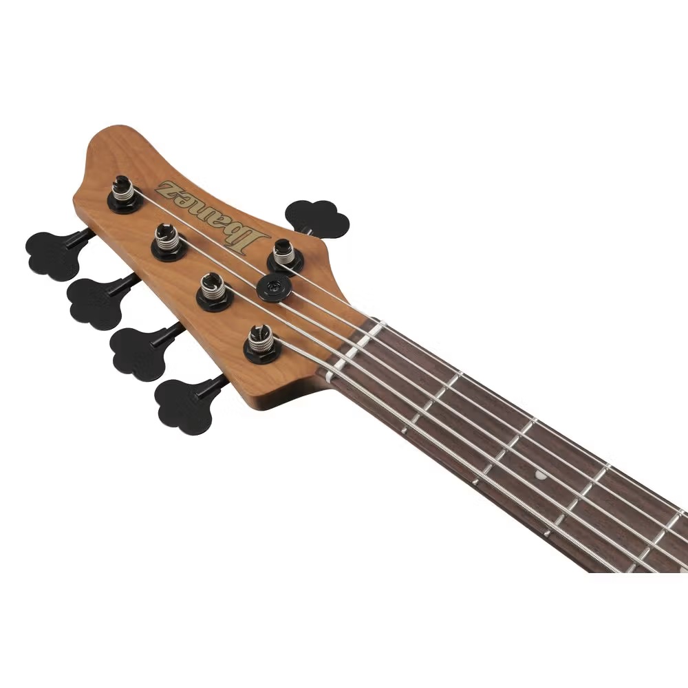 Ibanez MDM Series 5 string Bass Guitar MDM1605 NML online in India at johnsmusicin at the lowest price Online price in India