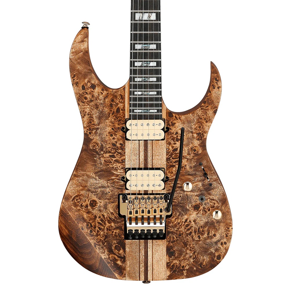 Ibanez RGT1220PB ABS Electric Guitar Online price India Ibanez RGT1220PB ABS Electric Guitar Online price India