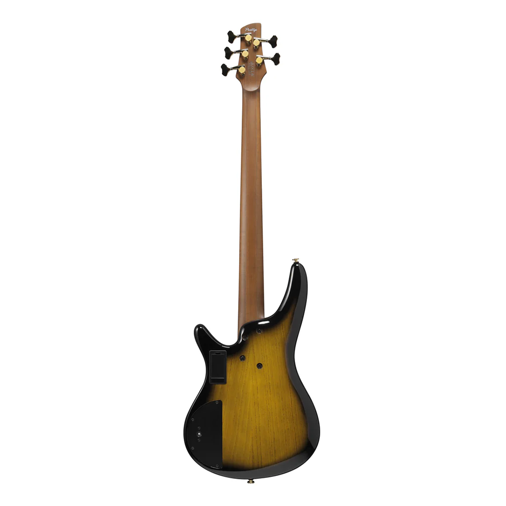 Ibanez SR4505 DST 5 String Electric Bass Guitar Desert Sunset Burst online in India at johnsmusicin at the lowest price Online price in India
