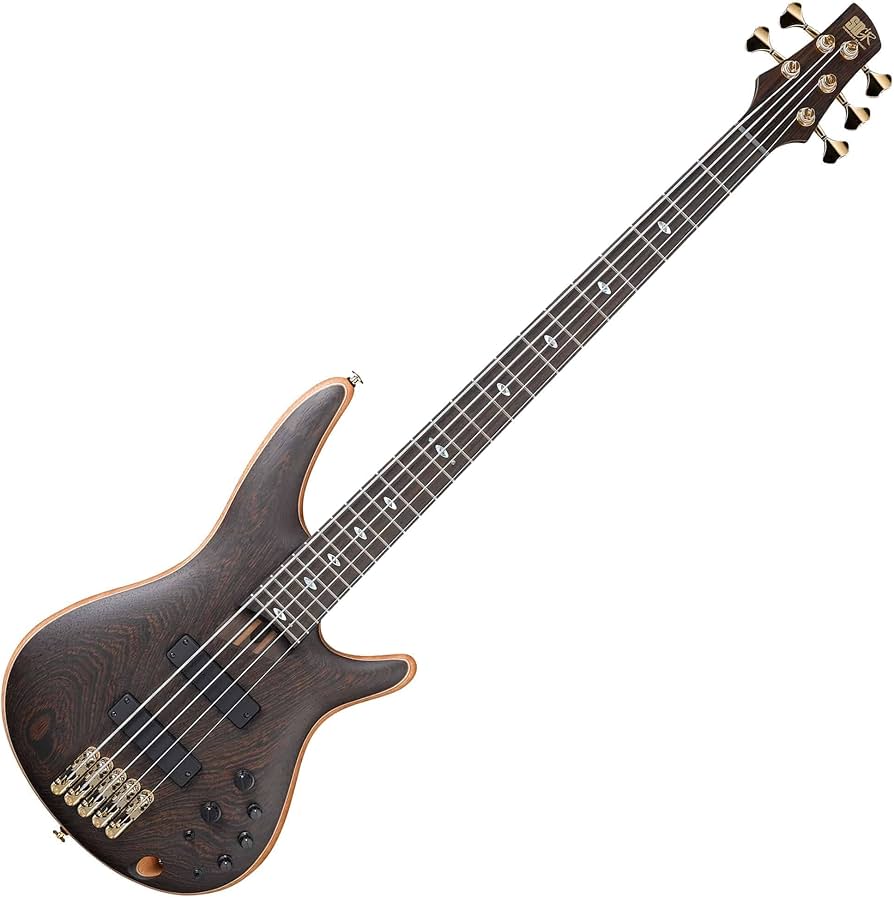 Ibanez SR5005 SR Prestige 5 String Electric Bass Guitar with Case online in India at johnsmusicin at the lowest price Online price in India