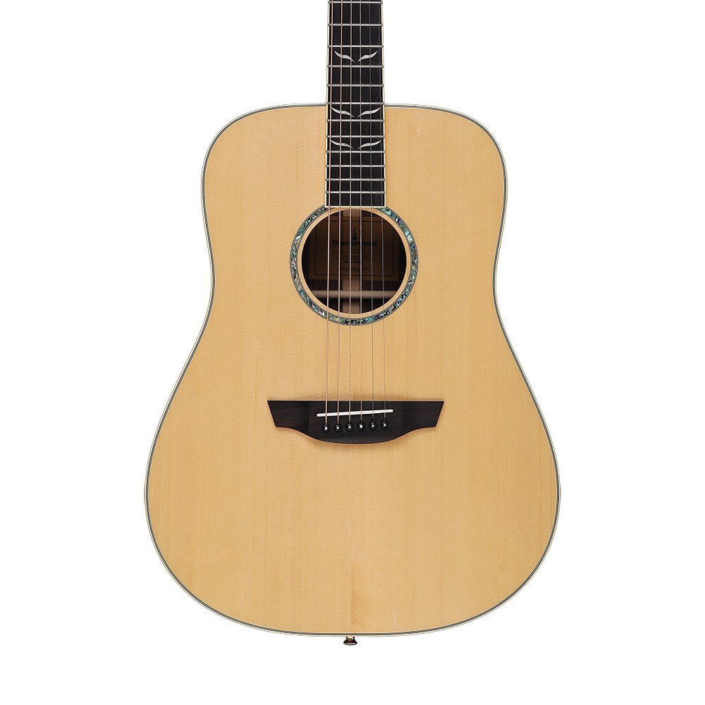 Orangewood Echo Dreadnought Acoustic Guitar Online price in India