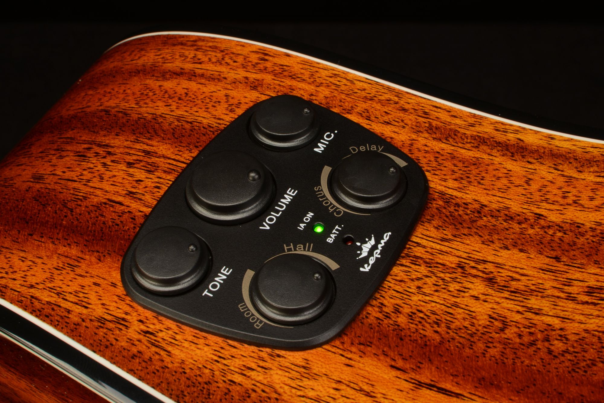 F1E-OM ORCHESTRA MODEL with Double Padded Bag