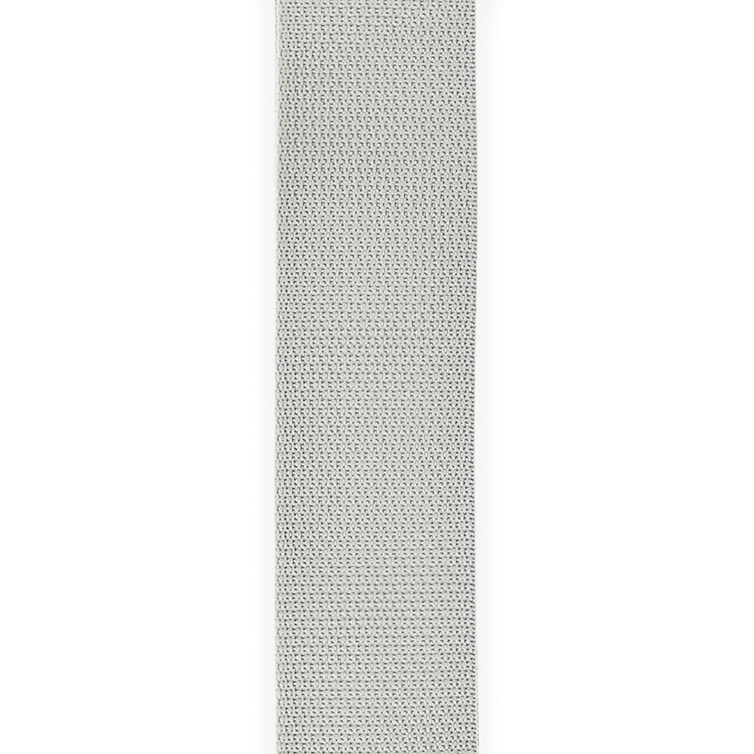 DAddario PWS105 Polypropylene Guitar Strap Silver Online price in India
