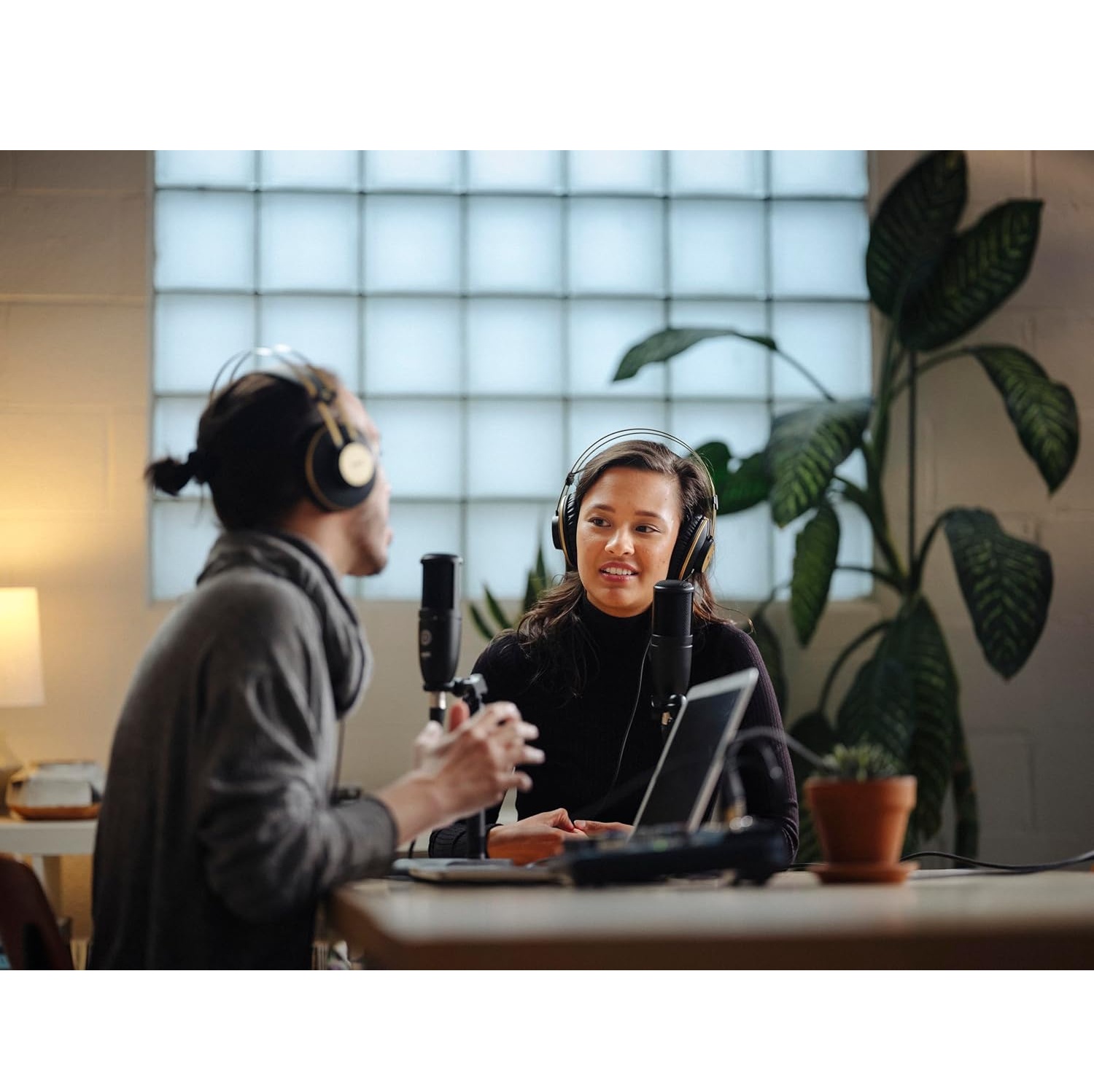 AKG P120 High-Performance Wired Microphone online in India at johnsmusicin at the lowest price Online price in India