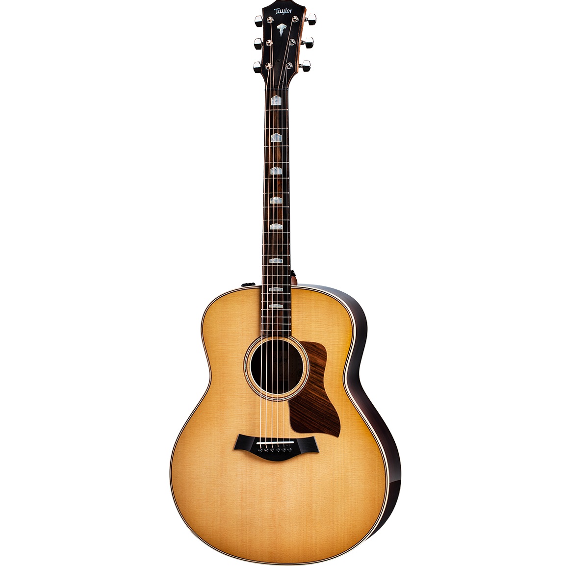 Taylor 818e Grand Orchestra Acoustic-Electric Guitar