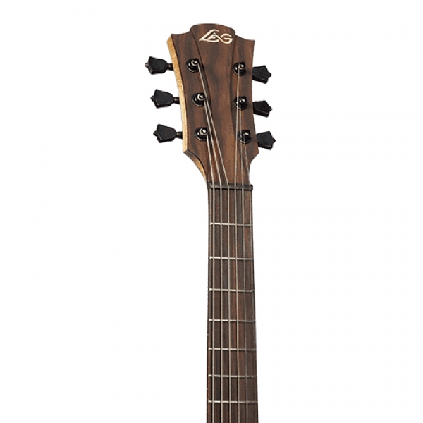 Lag Travel Kae Travel Electro Acoustic Guitar with Microphone system Online price in India