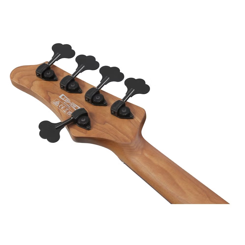 Ibanez MDM Series 5 string Bass Guitar MDM1605 NML online in India at johnsmusicin at the lowest price Online price in India